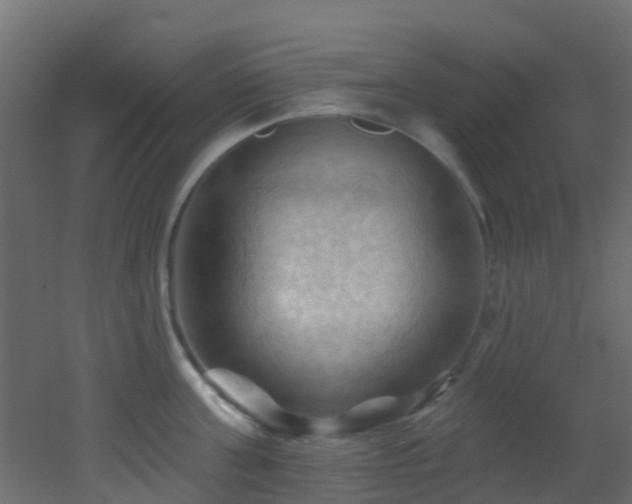 X0000053080811200507111243