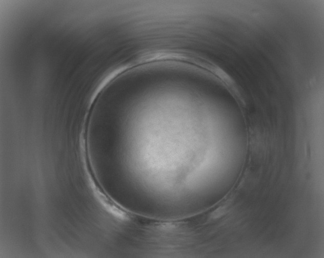 X0000053080814200507111243