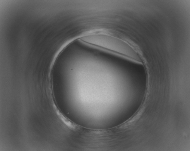 X0000053080816200507111243