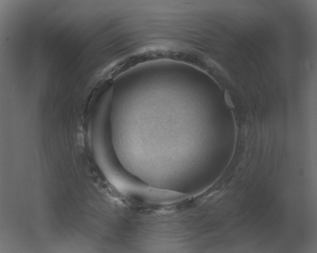 X0000053080822200507111242