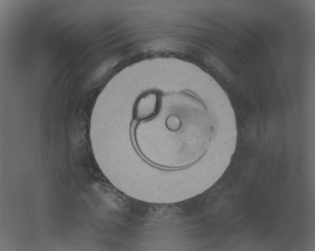X0000053080824200507111242