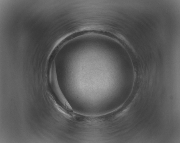 X0000053080830200507111242