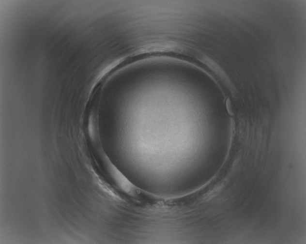 X0000053080834200507111242