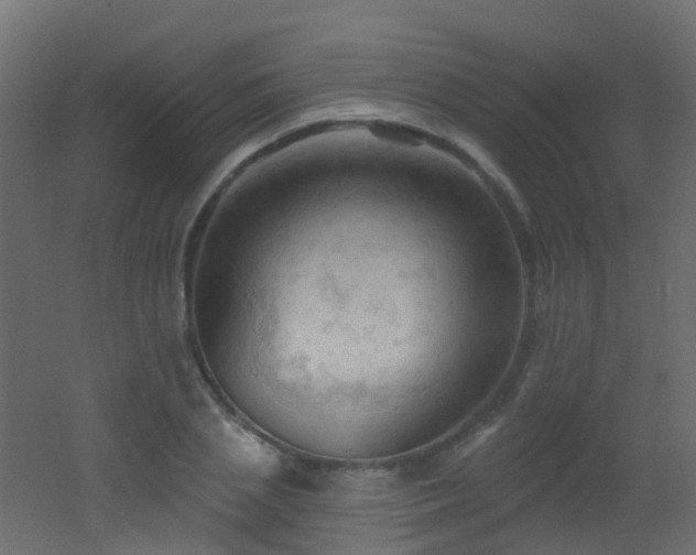 X0000053080837200507111242