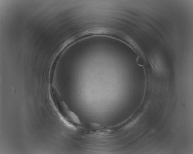 X0000053080845200507111242