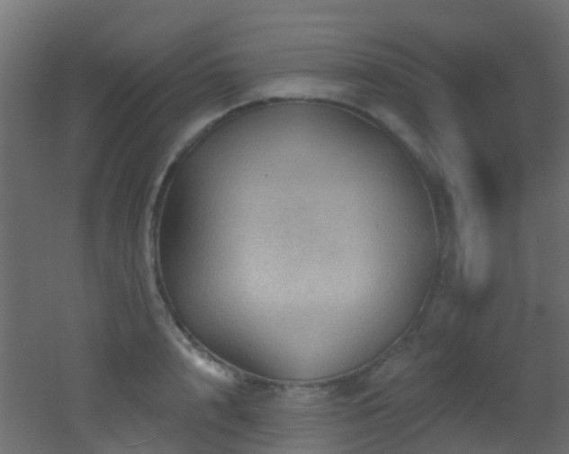 X0000053080848200507111242