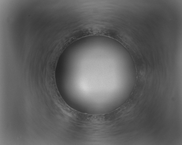 X0000053080865200507111242