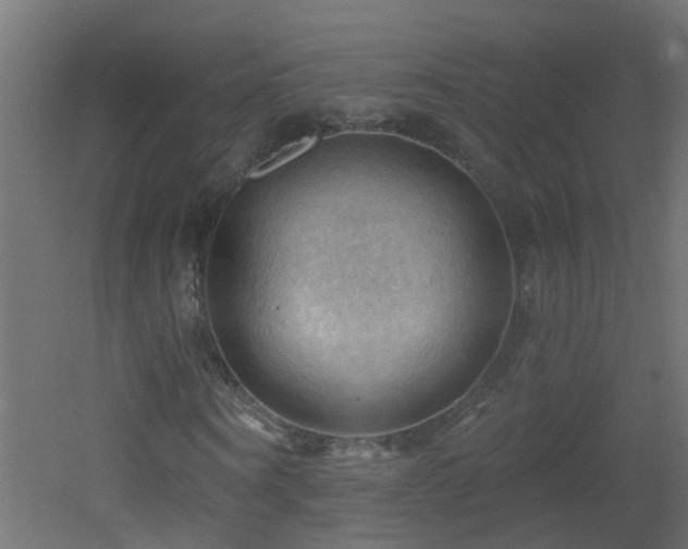 X0000053080866200507111242