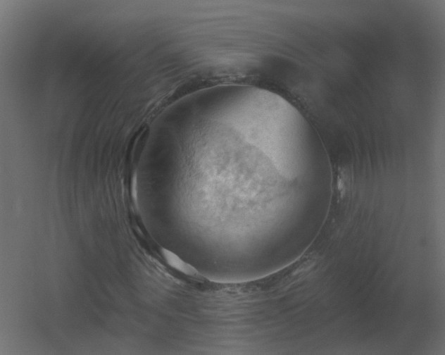 X0000053080867200507111242