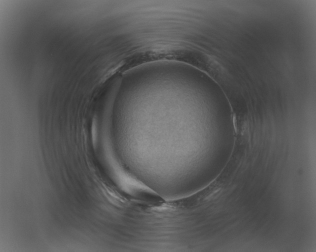 X0000053080868200507111242