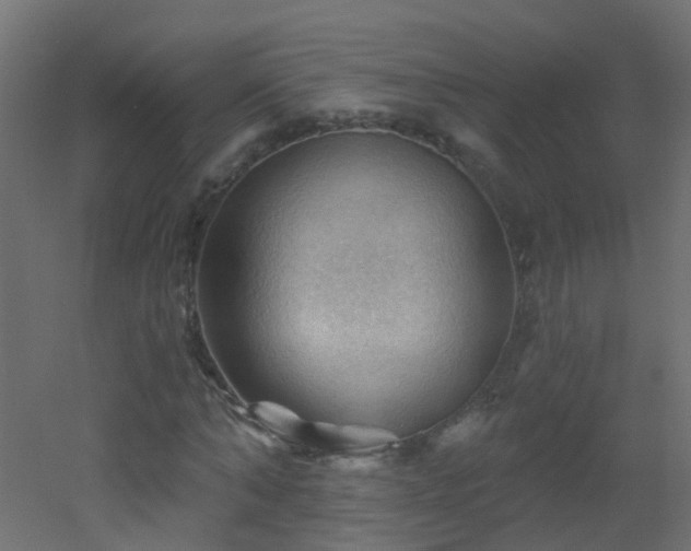 X0000053080870200507111242