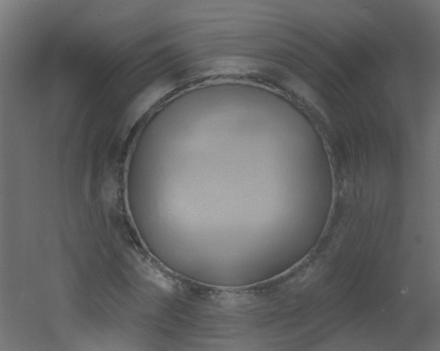 X0000053080874200507111242