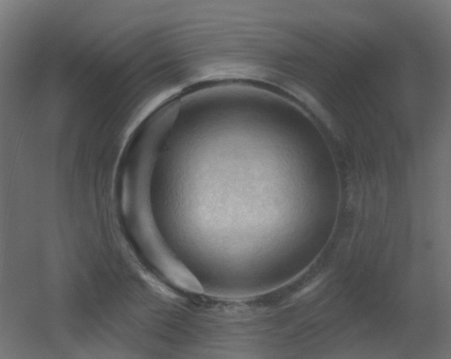 X0000053080885200507111241