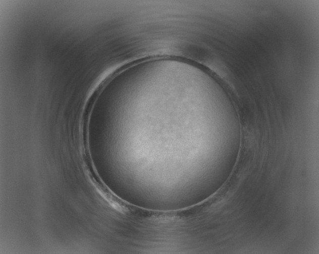 X0000053080886200507111241