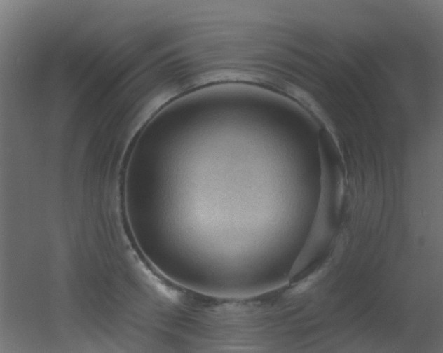 X0000053080898200507111241