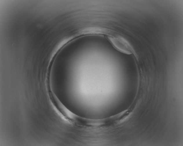 X0000053080901200507111241