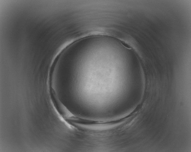 X0000053080902200507111241