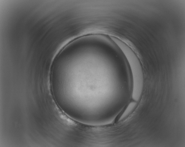 X0000053080904200507111241