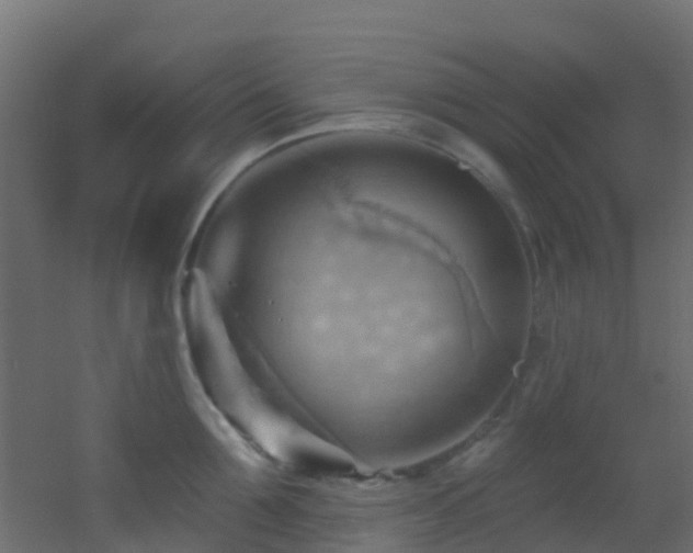 X0000053080907200507111241