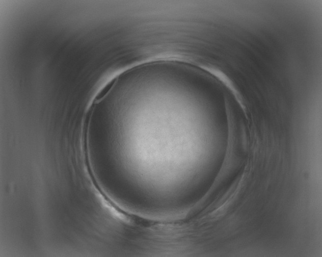X0000053080910200507111241