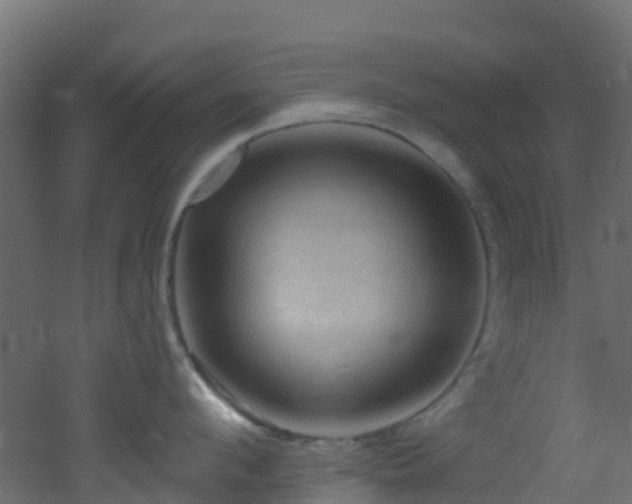 X0000053080912200507111241