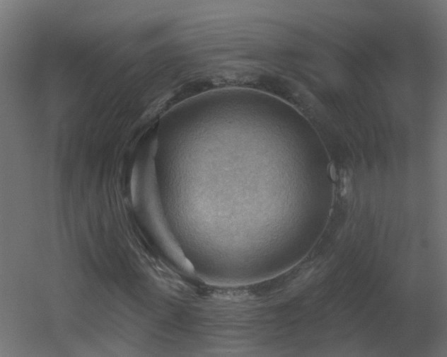 X0000053080915200507111240