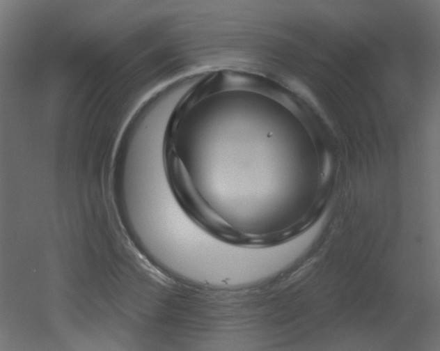 X0000053080924200507111240