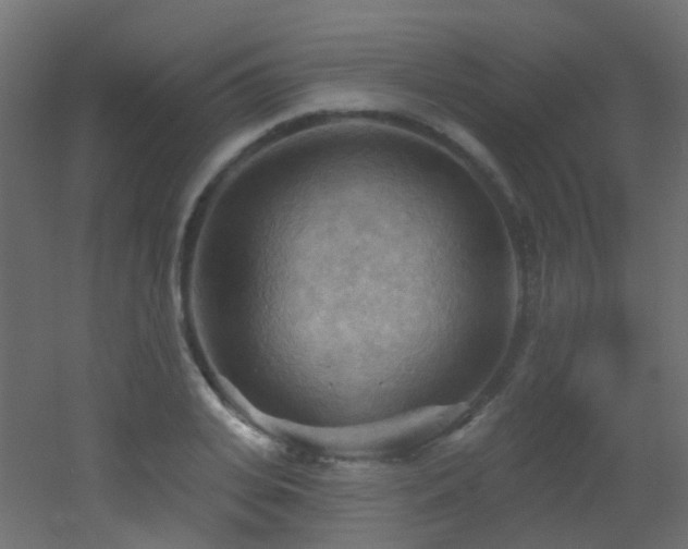 X0000053080935200507111241