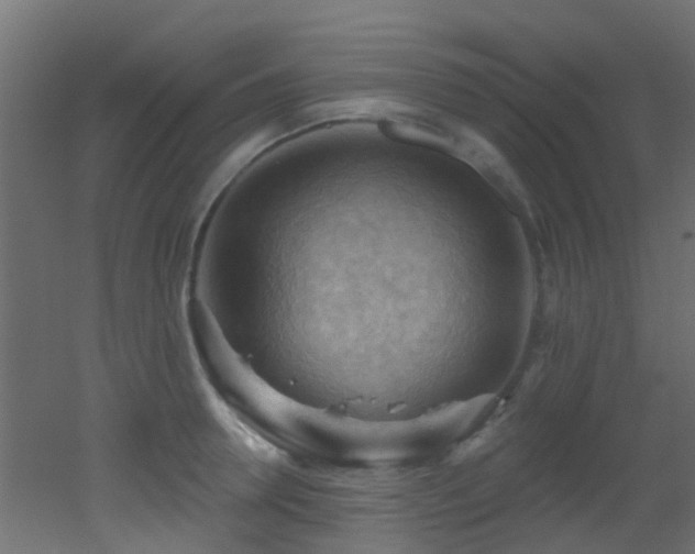 X0000053080946200507111241