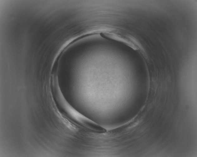 X0000053080948200507111241