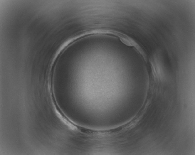 X0000053080958200507111241