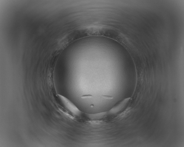 X0000053080964200507111240