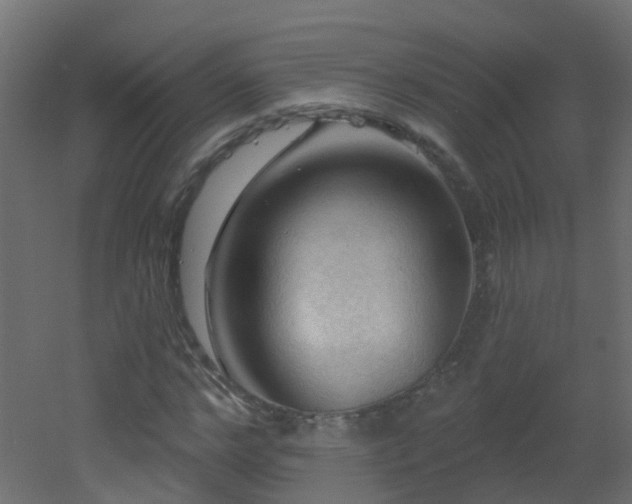 X0000053080968200507111240