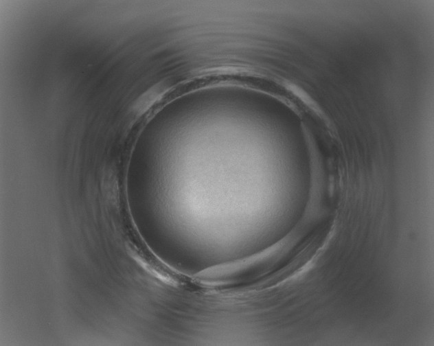 X0000053080969200507111240