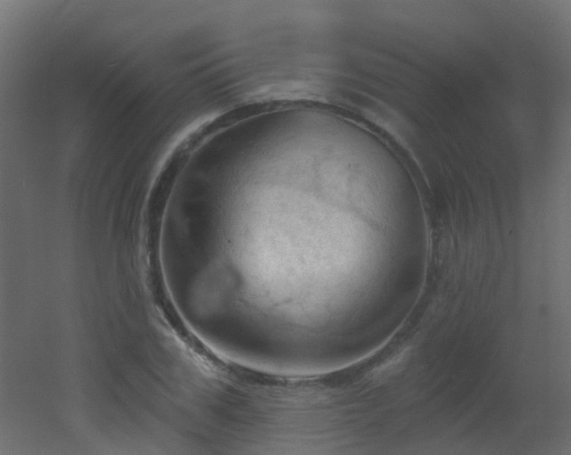 X0000053080979200507111240