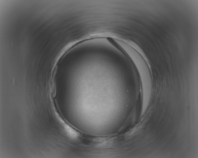 X0000053081005200507111239