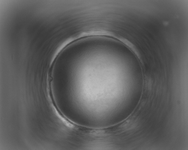 X0000053081006200507111239