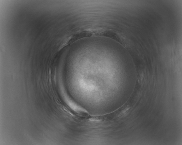 X0000053081010200507111239
