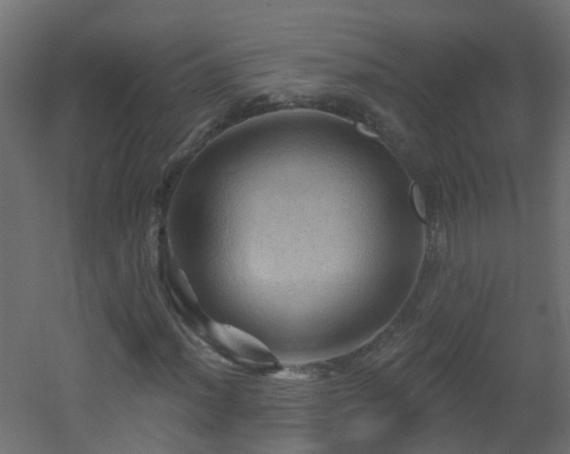 X0000053081012200507111239