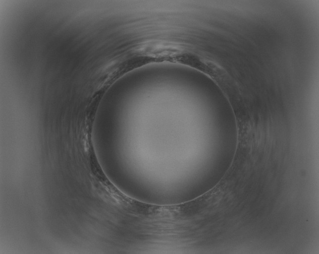 X0000053081013200507111239