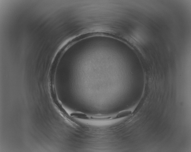 X0000053081024200507111239
