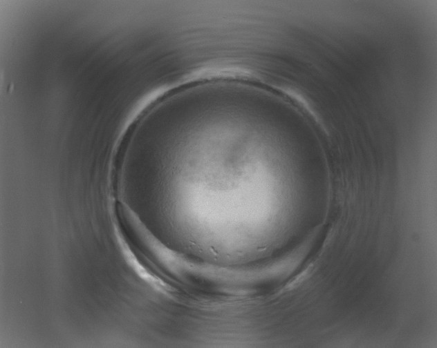 X0000053081038200507111239