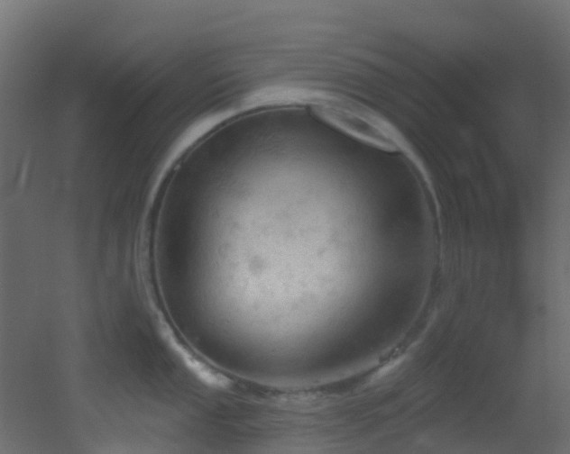 X0000053081053200507111239