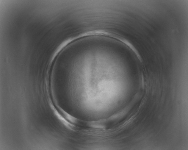 X0000053081054200507111239