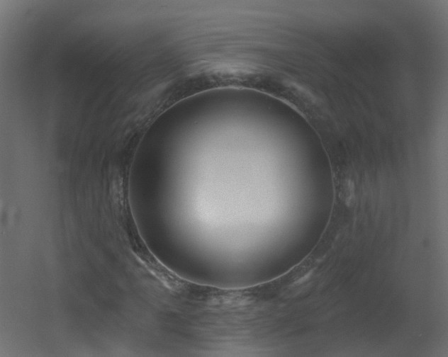 X0000053081061200507111238
