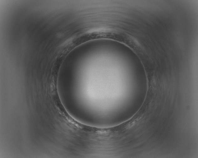 X0000053081062200507111238