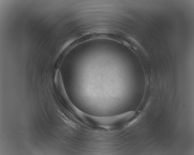 X0000053081065200507111238