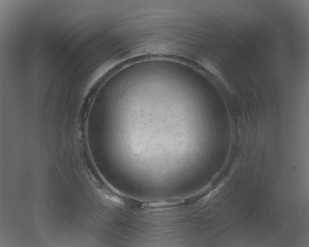 X0000053081070200507111238