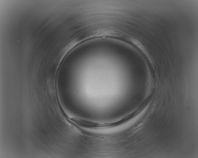 X0000053081089200507111238