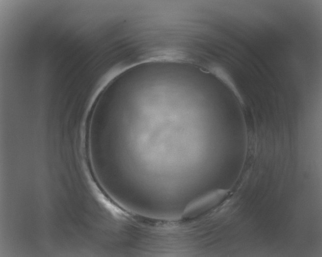 X0000053081099200507111238